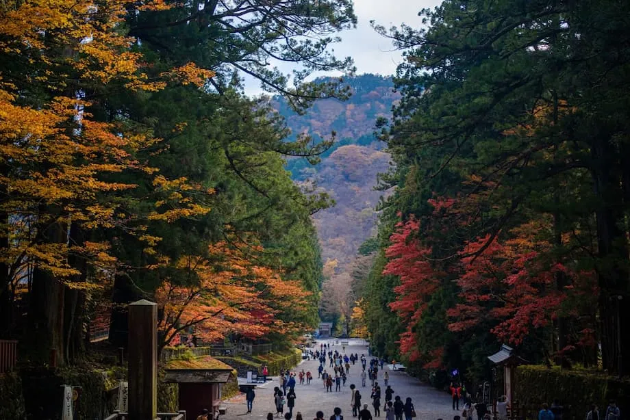 일본의 단풍 명소 5곳: 가을의 첫빛을 만나는 곳