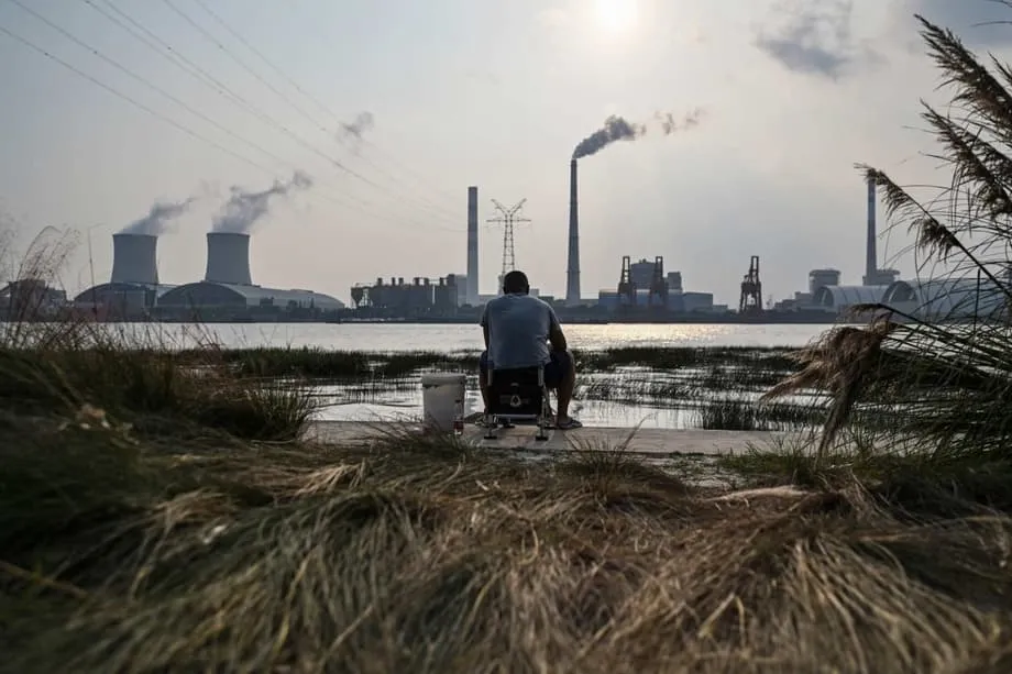 중국, 브라질 산림기금 출연 보류…COP30서 선진국 주도 촉구