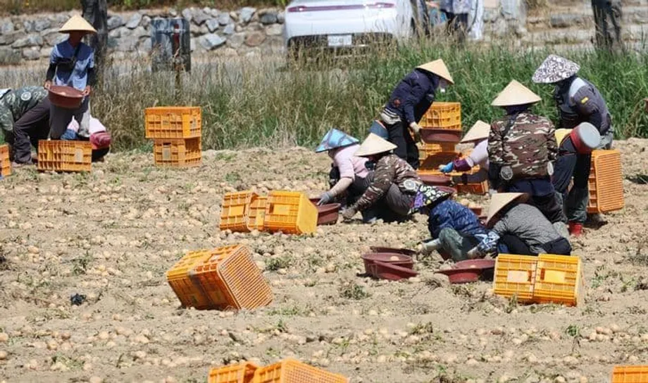 이민 확대 나선 한국…인구 감소 막기엔 역부족이라는 분석
