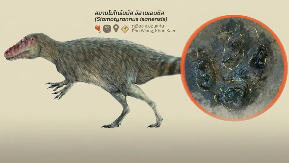 Six Dinosaur Footprints Confirmed in Udon Thani as Thailand Moves to Protect Ancient Trackway