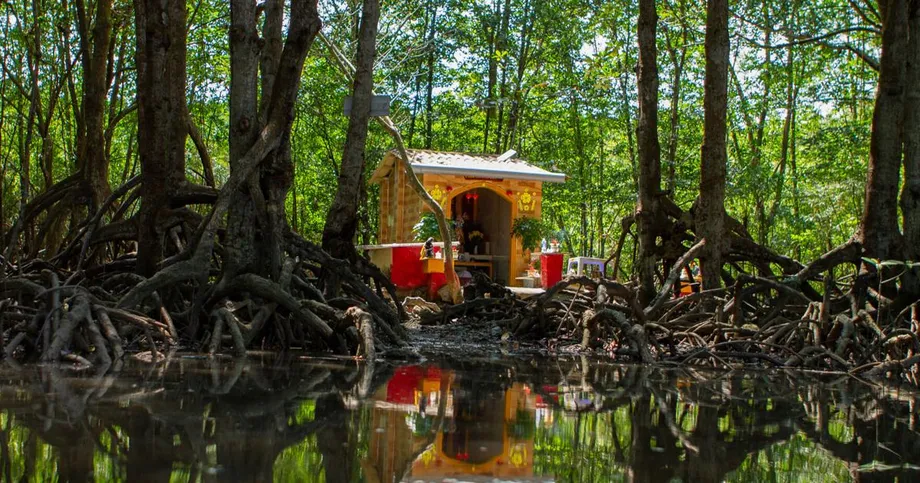 Can Gio Building Boom Puts Ho Chi Minh City's Mangrove Shield at Risk