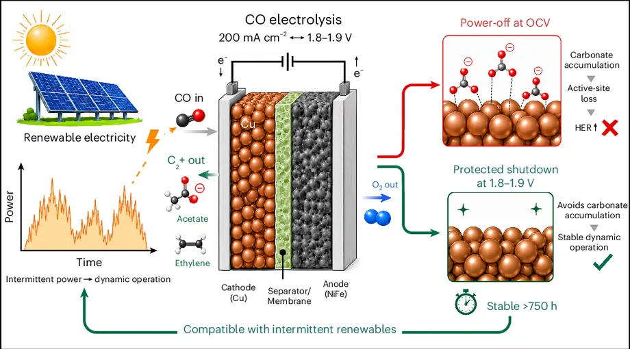 Standby Voltage Keeps Carbon Monoxide Electrolysers Stable as Renewable Power Fluctuates